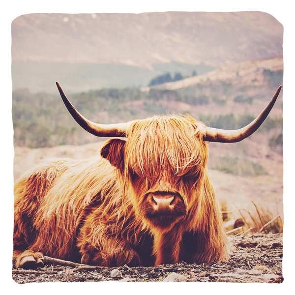 Highland Cow Scottish Farm Animal Nursery Throw Pillow Home Decor