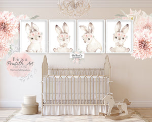 Bunny rabbit hot sale pictures for nursery