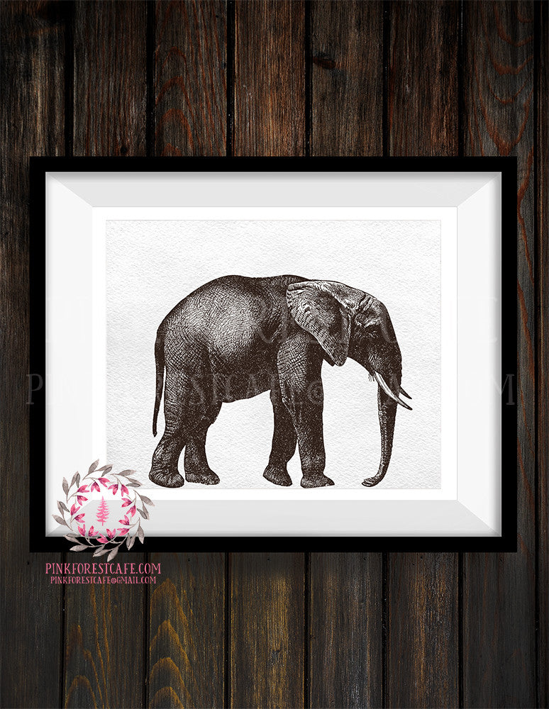 Elephant ZOO Safari Sketch Nursery Kids Baby Room Print Printable Wall Art Print Home Decor