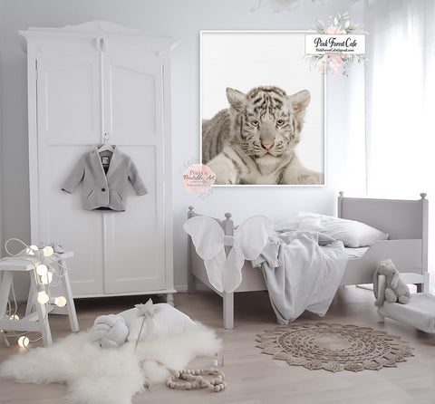 White Tiger Cub Photo Wall Art Print Zoo Nursery Baby Room Isolated Animal Safari Jungle Printable Decor