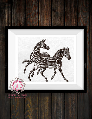 Zebra ZOO Safari Wall Art Print Nursery Kids Baby Room Printable Home Decor